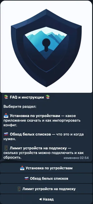 Раздел «FAQ и инструкции» в боте: установка по устройствам, обход белых списков, лимит устройств на подписку